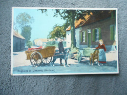 Cpa Dogcarts In Limburg Holland  Attelage Chien - Other & Unclassified