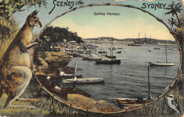 CPA AUSTRALIE / SCENES IN SYDNEY / SYDNEY HARBOUR / KANGOUROU - Sonstige & Ohne Zuordnung