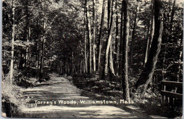 ETATS UNIS - Torrey's Woods Williamstown, Mass - Andere & Zonder Classificatie