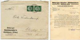 Germany 1936 Cover & Letter; Mühlberg, Falkenberg (Bz. Halle) - R. Güldenstern, Pelztierzucht-Betrieb; 6pf. Hindenburg - Cartas & Documentos