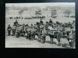 BATTERIE ALPINE REVUE - Regimenten
