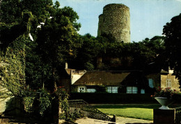 37 CHATEAU RENAULT LES JARDINS DU CHATEAU AU PIED DU VIEUX DONJON DEMANTELE XIIèS. - Andere & Zonder Classificatie