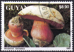 Timbre-poste Dentelé Oblitéré - Champignons Bolet Satan Boletus Satanas - N° 4137 (Michel) - Guyana 1993 - Guiana (1966-...)