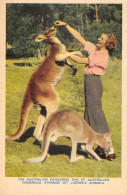 CPA AUSTRALIE / THE AUSTRALIAN KANGAROO - Andere & Zonder Classificatie