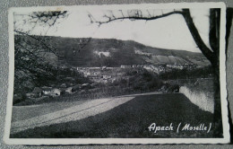 57 - APACH (Moselle) - Andere & Zonder Classificatie