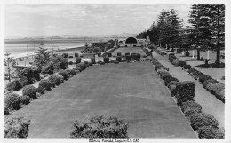 CPA AUSTRALIE / MARINE PARADE / NAPIER - Nieuw-Zeeland