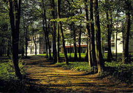 60 - Chantilly - Maison De Convalescence - Fondation Alphonse De Rothschild - Chantilly