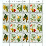 VATICAN 1992 -  Flore Du Nouveau Monde - Feuillet De 4 X 6 Timbres - Blocs & Feuillets