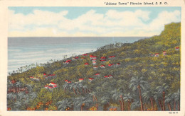 CPA AUSTRALIE / OCEANIE / PITCAIRN ISLAND / ADAMS TOWN - Isole Pitcairn