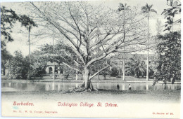 C. P. A. : BARBADOS : Codrington College, St Johns, Stamp In 1907 - Barbades