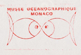 Meter Top Cut Monaco 1988 Oceanographic Museum Monaco - Vie Marine