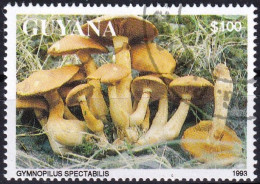 Timbre-poste Dentelé Oblitéré  Champignons Gymnopile Remarquable Gymnopilus Spectabilis - N° 4139 (Michel) - Guyana 1993 - Guiana (1966-...)