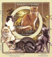 CENTRAFRIQUE 1997 - Chats De Race - Somali - Bloc - Chats Domestiques