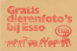 Meter Cut Netherlands 1972 Lion - Camel - Elk - Rhino - Hippopotamus / Elephant - Esso - Andere & Zonder Classificatie
