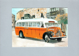 Automobile : Leyland Comet 1952 - Autobús & Autocar