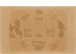 Delcampe - CPA AUSTRALIE / CARTE PHOTO / GREETINGS FROM MAORILAND / NOUVELLE ZELANDE - New Zealand