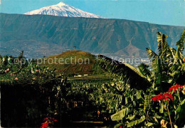 72894735 Puerto De La Cruz Panorama Mit Teide Puerto De La Cruz Tenerife - Andere & Zonder Classificatie