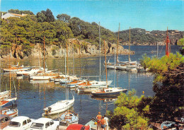 83 - Hyères Les Palmiers - Presqu'île De Giens - Le Port Du Niel - Hyeres