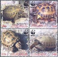 ARMENIE 2007 - Tortue Testudo Horsdieldi - 4 V. - Tartarughe