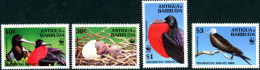 ANTIGUA ET BARBUDA 1994 - W.W.F. Oiseaux - La Fregate - 4 V. - Gaviotas