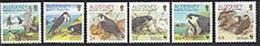 ALDERNEY 2000 -  WWF - Le Faucon Pélerin - 6 V. - Unused Stamps