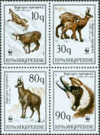 ALBANIE 1990 - W.W.F. - Chamois Rupicapra - 4 V. - Unused Stamps