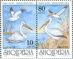 ALBANIE 1997 - Oiseaux Endémiques - Le Pélican -2 V.  - Pelicans