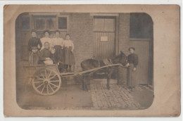 CARTE PHOTO - ATTELAGE D' ANE - ANIERE- CHARRETTE AVEC DES FEMMES - PLAQUE AU NOM DE LOUIS TOUSSAINT - 2 SCANS - - Anes