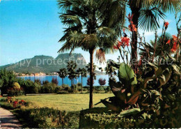 72894064 Garda Lago Di Garda Panorama Garda Lago Di Garda - Other & Unclassified