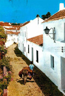 72894014 Mijas Calle Tipica Mijas - Andere & Zonder Classificatie