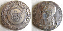 Médaille En Bronze Syndicats De L’Alimentation En Gros De France 1933 à N. Tournois Par B.L. HERCULE - Otros & Sin Clasificación