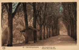 CPA 51 - CHALONS SUR MARNE (Marne) - 13. Allée Centrale Du Jard - Châlons-sur-Marne