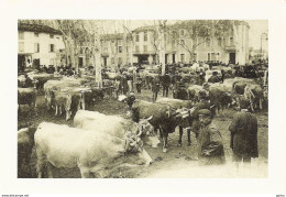 *Repro CPA - Le Jour Du Marché Aux Bovins - - Vacas