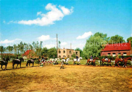 72893767 Oostduinkerke Reitschule Oostduinkerke - Oostduinkerke