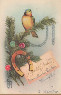 VOGEL Vintage Ansichtskarte Postkarte CPSMPF #PKG973.DE - Vogels