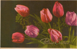 FLOWERS Vintage Ansichtskarte Postkarte CPA #PKE552.DE - Blumen