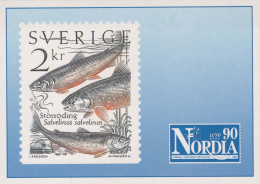 FISCH Tier Vintage Ansichtskarte Postkarte CPSM #PBS863.DE - Vissen & Schaaldieren