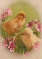 OSTERN HUHN EI Vintage Ansichtskarte Postkarte CPSM #PBP227.DE - Pâques