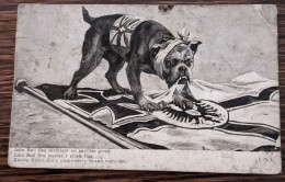 Carte Postale Ancienne Humoristique : John Bull Dog - Ohne Zuordnung