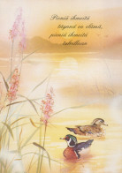 VOGEL Tier Vintage Ansichtskarte Postkarte CPSM #PAN170.DE - Pájaros