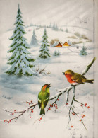 VOGEL Tier Vintage Ansichtskarte Postkarte CPSM #PAM924.DE - Birds