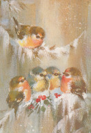 VOGEL Tier Vintage Ansichtskarte Postkarte CPSM #PAM800.DE - Vogels