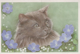 KATZE MIEZEKATZE Tier Vintage Ansichtskarte Postkarte CPSM #PAM357.DE - Katzen