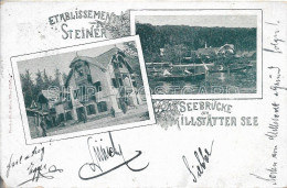 AK OLD POSTCARD AUTRIA - SEEBRUCKE AM MILSTATTER SEE - ETABLISSEMENT STEINER - VIAGGIATA  1898 - A76 - Millstatt