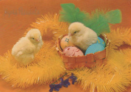 PASCUA POLLO HUEVO Vintage Tarjeta Postal CPSM #PBO912.ES - Ostern