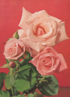 FLORES Vintage Tarjeta Postal CPSM #PAR968.ES - Fleurs