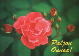 FLORES Vintage Tarjeta Postal CPSM #PAS269.ES - Flowers