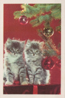 GATO GATITO Animales Vintage Tarjeta Postal CPSM #PAM608.ES - Cats