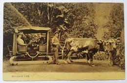 CARTE POSTALE - PORTUGAL - MADERE - BULLOCK CAR - TOURISME - PORTEUR - TRAINEAU A BOEUF - DEBUT XX° - Madeira