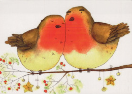 OISEAU Animaux Vintage Carte Postale CPSM #PBR547.FR - Birds